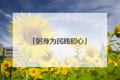 躬身为民践初心