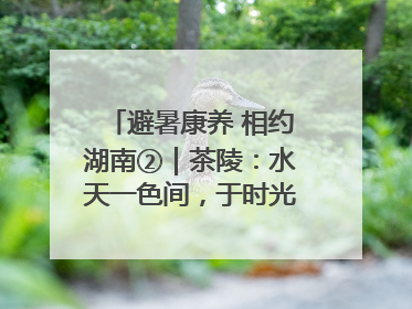 避暑康养 相约湖南②｜茶陵：水天一色间，于时光里拾取诗意