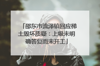 邵东市流泽镇回应梯土毁坏质疑：上级未明确答复而未开工