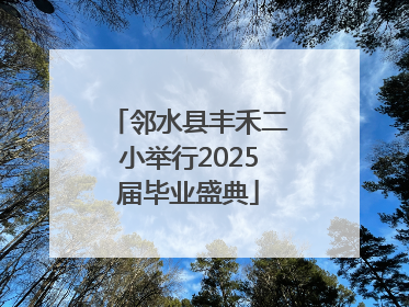 邻水县丰禾二小举行2025届毕业盛典