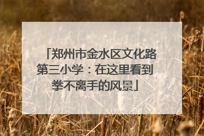 郑州市金水区文化路第三小学：在这里看到拳不离手的风景