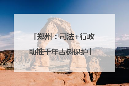 郑州：司法+行政助推千年古树保护