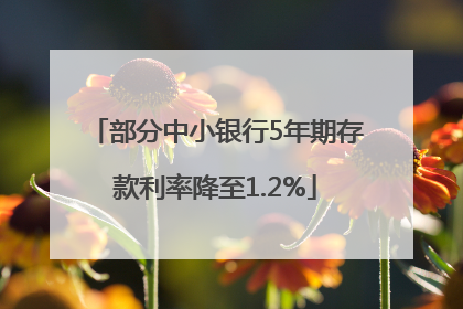 部分中小银行5年期存款利率降至1.2%