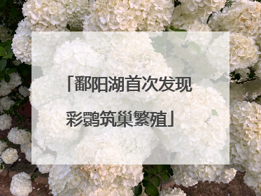 鄱阳湖首次发现彩鹮筑巢繁殖