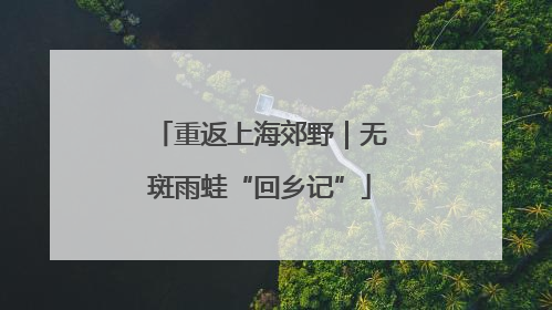 重返上海郊野｜无斑雨蛙“回乡记”