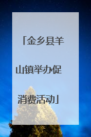 金乡县羊山镇举办促消费活动