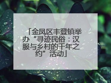 金凤区丰登镇举办“寻迹民俗：汉服与乡村的千年之约”活动