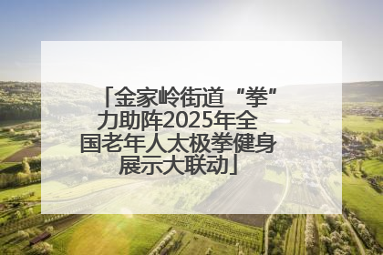金家岭街道“拳”力助阵2025年全国老年人太极拳健身展示大联动