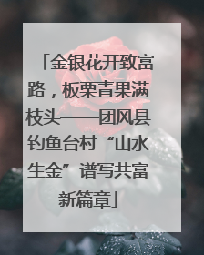 金银花开致富路，板栗青果满枝头——团风县钓鱼台村“山水生金”谱写共富新篇章