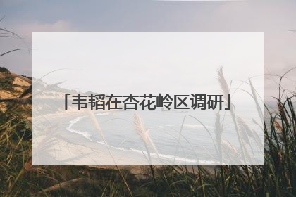 韦韬在杏花岭区调研