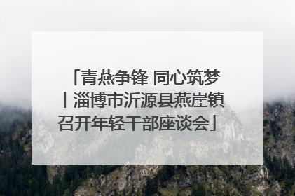 青燕争锋 同心筑梦丨淄博市沂源县燕崖镇召开年轻干部座谈会