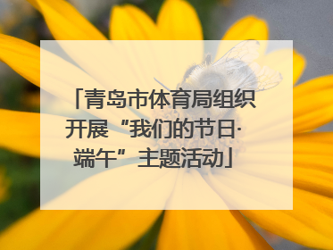 青岛市体育局组织开展“我们的节日·端午”主题活动