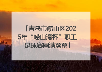 青岛市崂山区2025年“崂山湾杯”职工足球赛圆满落幕