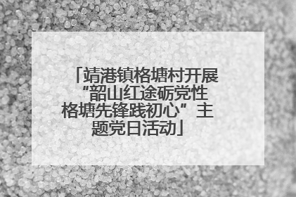 靖港镇格塘村开展“韶山红途砺党性 格塘先锋践初心”主题党日活动