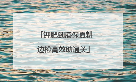 钾肥到港保夏耕 边检高效助通关