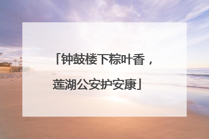 钟鼓楼下粽叶香，莲湖公安护安康