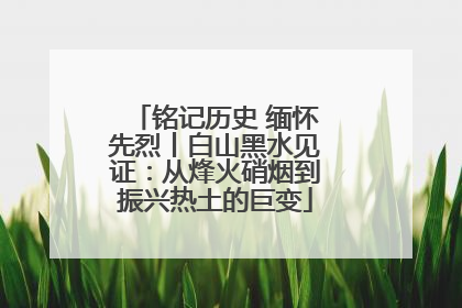 铭记历史 缅怀先烈丨白山黑水见证：从烽火硝烟到振兴热土的巨变