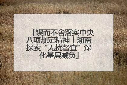 锲而不舍落实中央八项规定精神丨湖南探索“无扰督查”深化基层减负