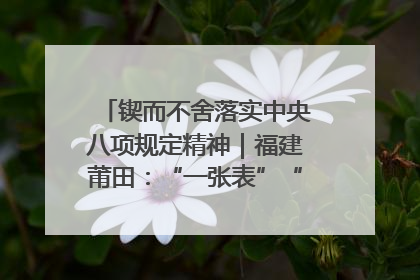 锲而不舍落实中央八项规定精神｜福建莆田：“一张表”“一张图”为基层减轻“数字负担”