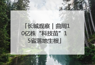 长城观察｜曲周10亿株“科技苗”15省落地生根
