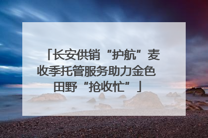 长安供销“护航”麦收季托管服务助力金色田野“抢收忙”