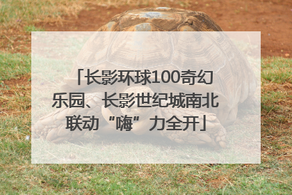 长影环球100奇幻乐园、长影世纪城南北联动“嗨”力全开