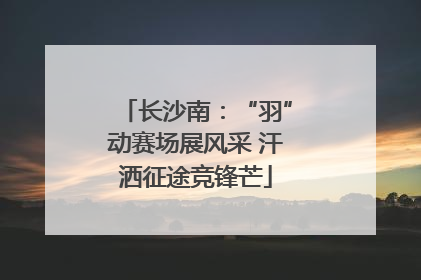 长沙南：“羽”动赛场展风采 汗洒征途竞锋芒