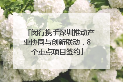 闵行携手深圳推动产业协同与创新联动，8个重点项目签约