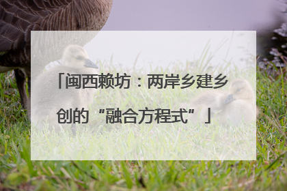 闽西赖坊：两岸乡建乡创的“融合方程式”