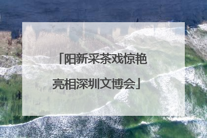 阳新采茶戏惊艳亮相深圳文博会