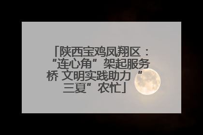 陕西宝鸡凤翔区：“连心角”架起服务桥 文明实践助力“三夏”农忙