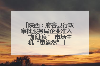 陕西：府谷县行政审批服务局企业准入“加速度” 市场生机“更盎然”