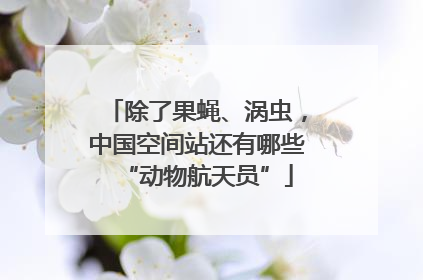 除了果蝇、涡虫，中国空间站还有哪些“动物航天员”