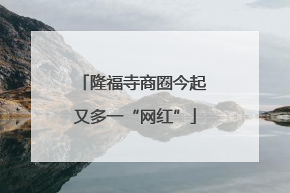 隆福寺商圈今起又多一“网红”