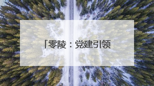 零陵：党建引领 做强蔬菜产业