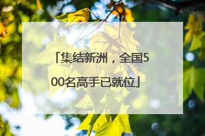 集结新洲，全国500名高手已就位