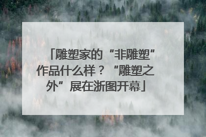 雕塑家的“非雕塑”作品什么样？“雕塑之外”展在浙图开幕