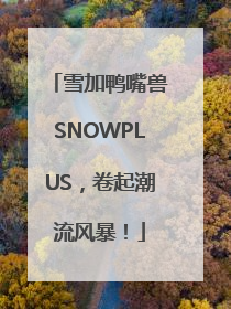 雪加鸭嘴兽SNOWPLUS，卷起潮流风暴！