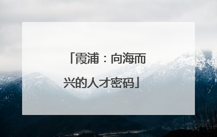 霞浦：向海而兴的人才密码