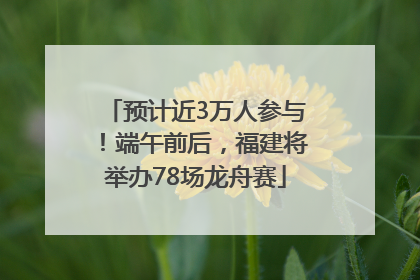 预计近3万人参与！端午前后，福建将举办78场龙舟赛