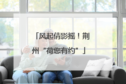 风起倩影摇！荆州“荷您有约”