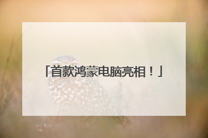 首款鸿蒙电脑亮相！