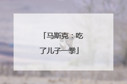 马斯克：吃了儿子一拳