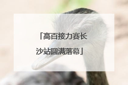 高百接力赛长沙站圆满落幕