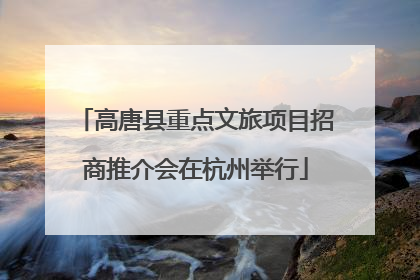 高唐县重点文旅项目招商推介会在杭州举行