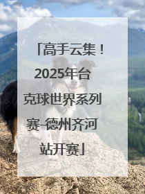 高手云集！2025年台克球世界系列赛-德州齐河站开赛