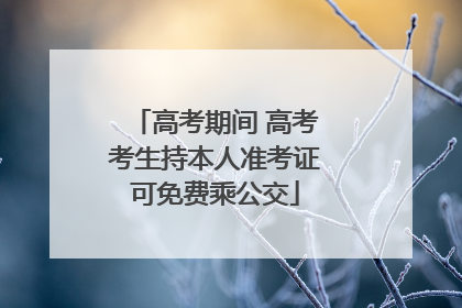 高考期间 高考考生持本人准考证可免费乘公交