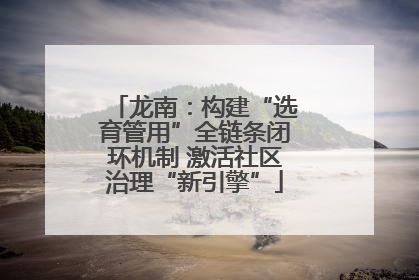 龙南：构建“选育管用”全链条闭环机制 激活社区治理“新引擎”