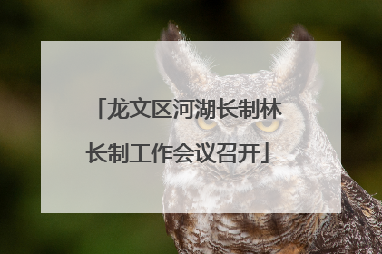 龙文区河湖长制林长制工作会议召开
