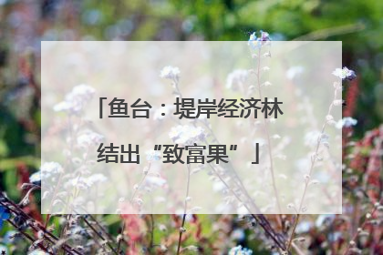鱼台：堤岸经济林结出“致富果”